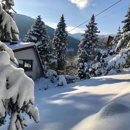 Domek Koziolek Przy Szlaku, Szyndzielnia, Klimczok, Szczyrk, Bania Bystra  Exterior foto